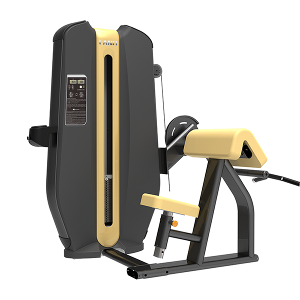 YFLS-029 Commercial 45° Bicep Curl Machine